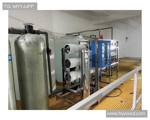 杨静独家分享篮球心得与技巧助你提升球技的全面指南