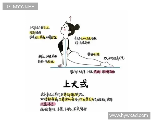 飞盘追梦：刘静的运动人生与心灵对话之旅